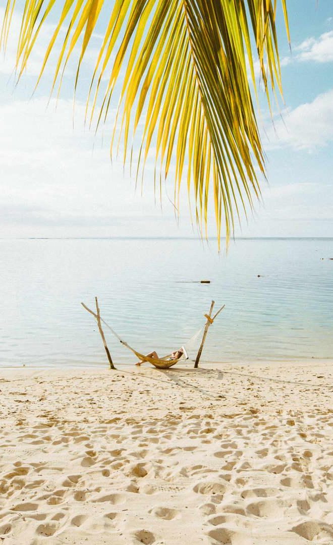 Beach and Bush Safari
