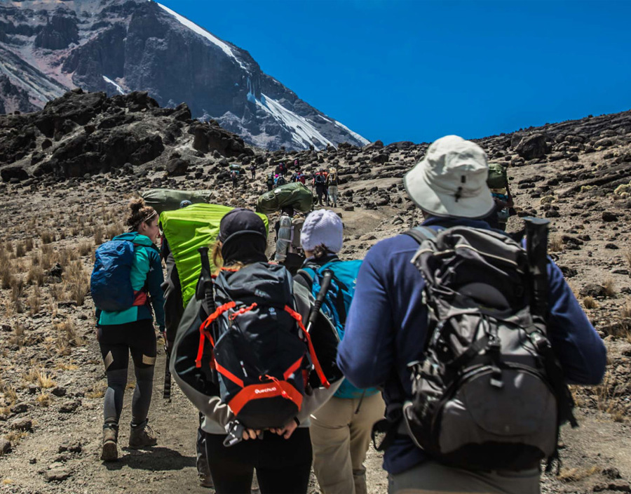 8 Days Mt. Kilimanjaro Machame Route
